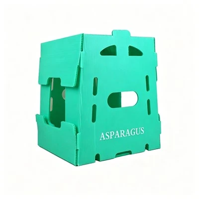 PP Hollow Sheet Fruit & Vegetable Box PP Hollow Sheet Fruit & Vegetable Box