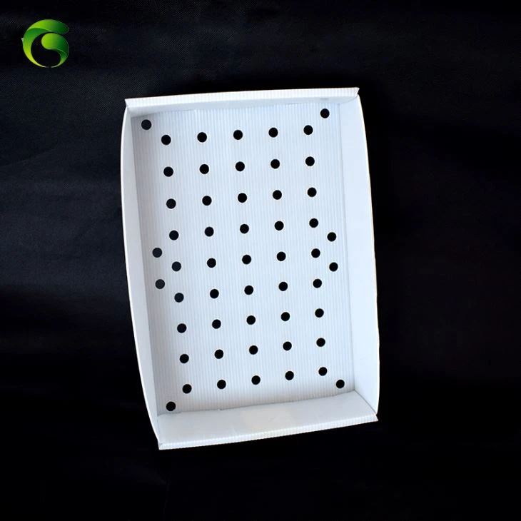 প্লাস্টিক নিউ নিউ বি বক্স